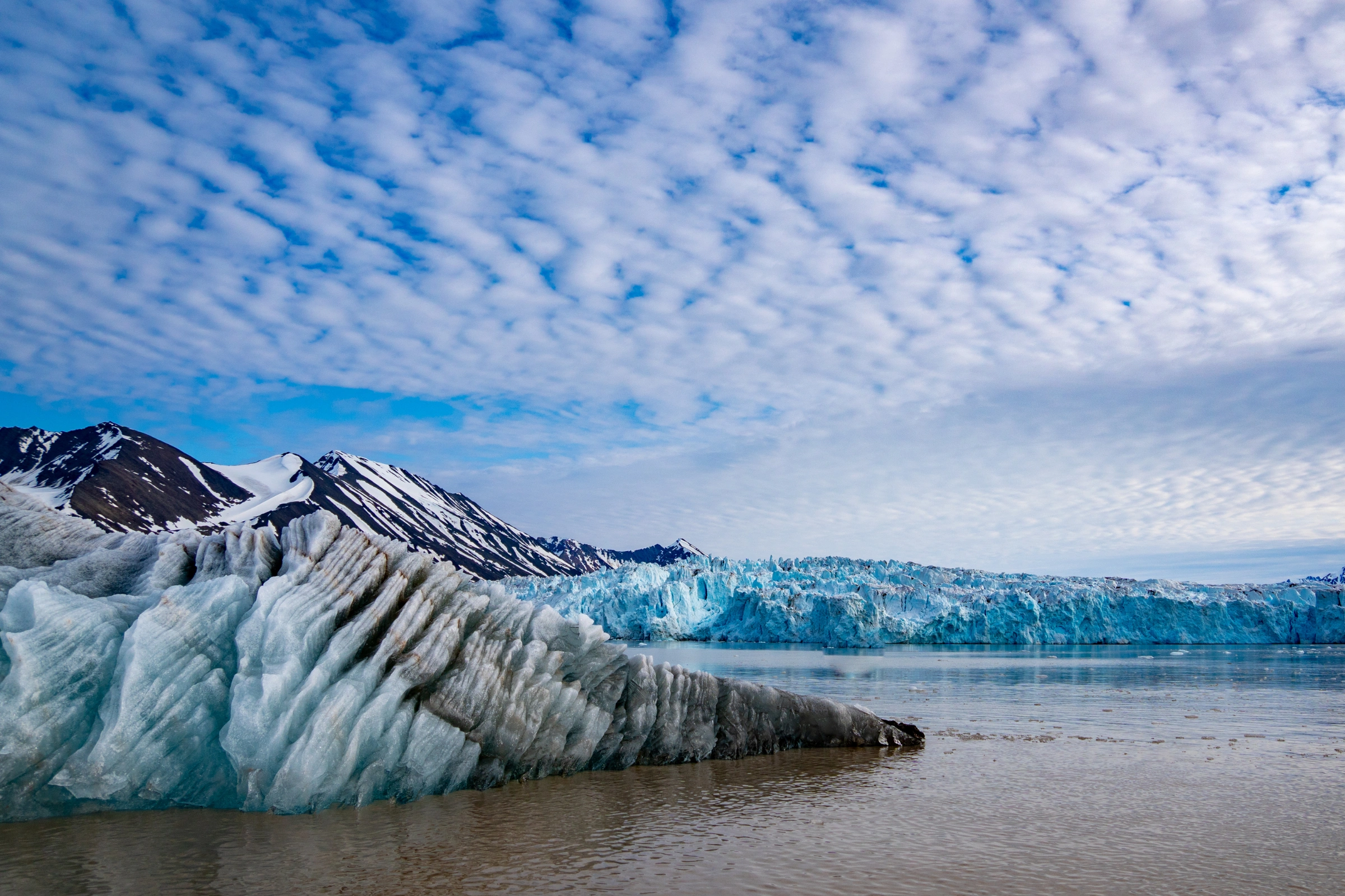 Soraust-Svalbard_Nature_Reserve[1].webp